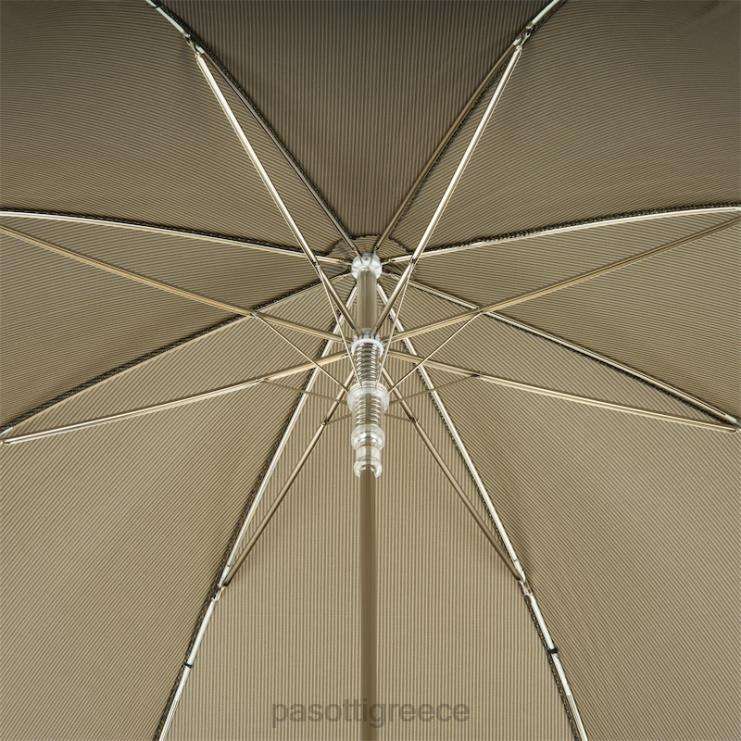 ομπρέλα | PASOTTI 478 6768-8 w85 - ασημένια ομπρέλα αετού 2N6B844 άνδρες